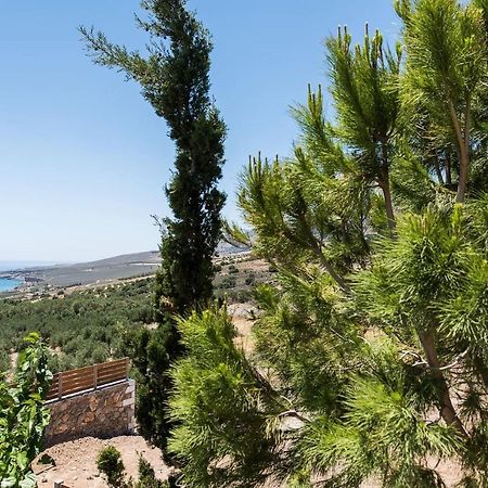 Villa Olvia Σφακιά Εξωτερικό φωτογραφία