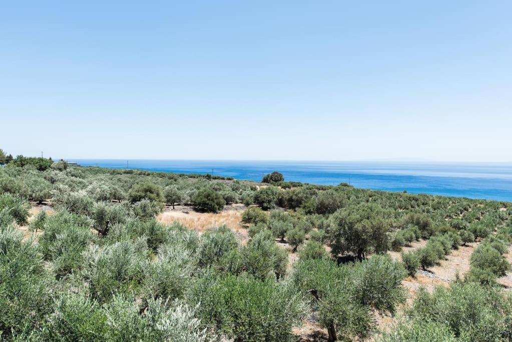 Villa Olvia Σφακιά Εξωτερικό φωτογραφία