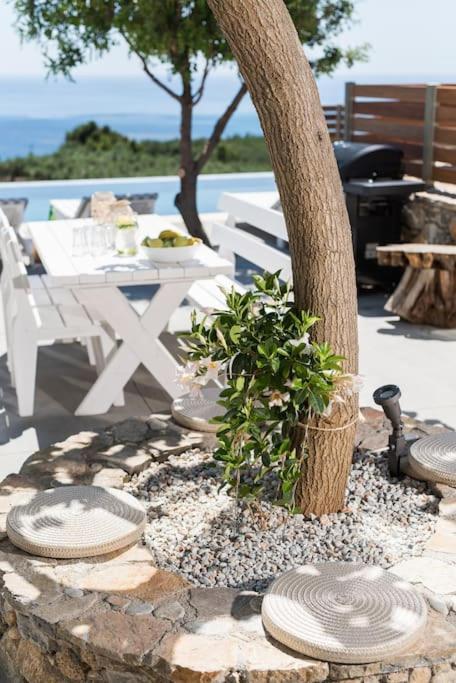 Villa Olvia Σφακιά Εξωτερικό φωτογραφία